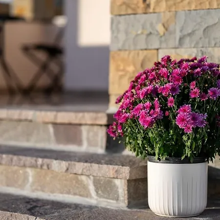Villa Miramar Istria & Private Retreat * Gračišče